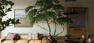 21 Inspirasi Dan Mengenal Desain Interior Rumah Wabi-Sabi Yang Tenang